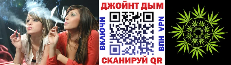 где купить   Вятские Поляны  Каннабис конопля 